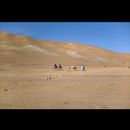 Central Afghan 19
