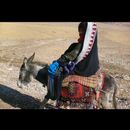 Central Afghan 3