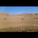 Central Afghan 9