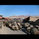 Jalalabad 3
