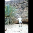 Kings Canyon