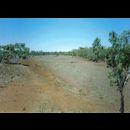 Shark Bay