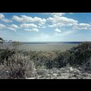West Australia outback