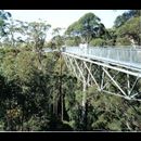 SW treewalk