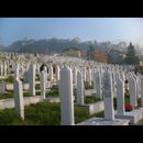 Bosnia Cemetry 1