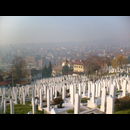 Bosnia Cemetry 3