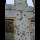 War Damage