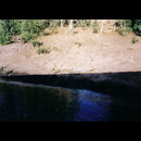 Chobe