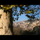 Town Views
