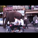 Cambodia Phnom Penh