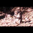 Cambodia Preah Pithu 17