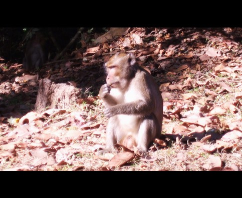 Cambodia Preah Pithu 17