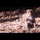 Cambodia Preah Pithu 20