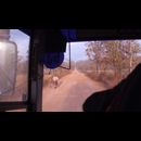 Cambodia Roads 25