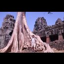 Cambodia Ta Prohm