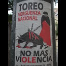 Colombia Bullfighting