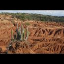 Colombia Desert