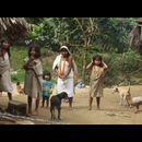 Colombia Indians 3