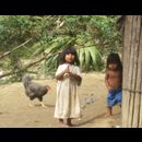 Colombia Indians 8