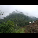 Colombia Lostcity 11