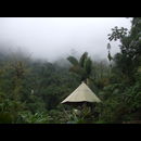 Colombia Lostcity 15