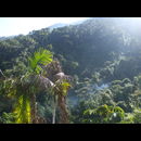 Colombia Lostcity 2