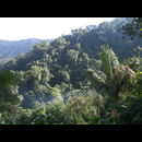 Colombia Lostcity 4