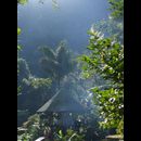 Colombia Lostcity 5