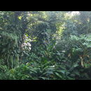 Colombia Lostcity 6