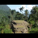 Colombia Lostcity 7