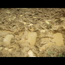 Colombia Lostcity Day1 11