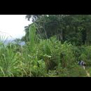 Colombia Lostcity Day1 18