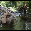 Colombia Lostcity Day2 10