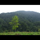 Colombia Lostcity Day2 11