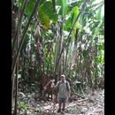 Colombia Lostcity Day2 13