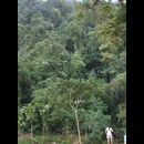 Colombia Lostcity Day2 14