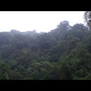 Colombia Lostcity Day2 18