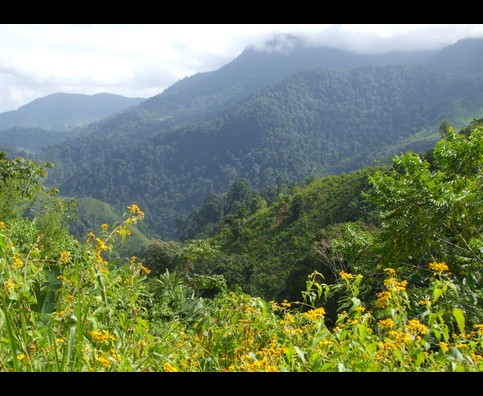 Colombia Lostcity Day2 2