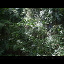 Colombia Lostcity Day2 3