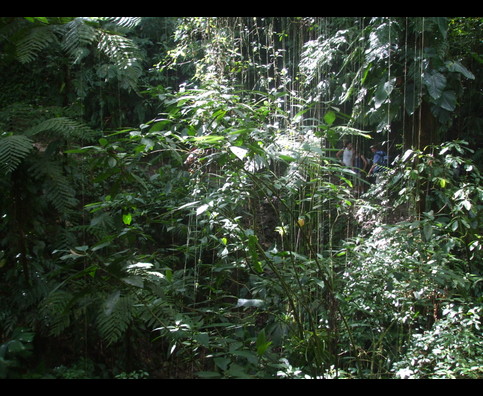 Colombia Lostcity Day2 3