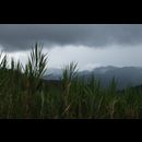 Colombia Roads 14