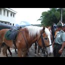 Colombia Roads 19