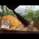 Colombia Roads 2