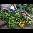 Colombia Sanagustin 14