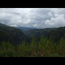 Colombia Sanagustin Horses 11