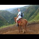 Colombia Sanagustin Horses 12