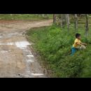 Colombia Sanagustin Horses 25