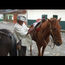 Colombia Sanagustin Horses 2