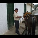 Colombia Sanagustin Horses 4