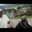 Colombia Sanagustin Horses 5